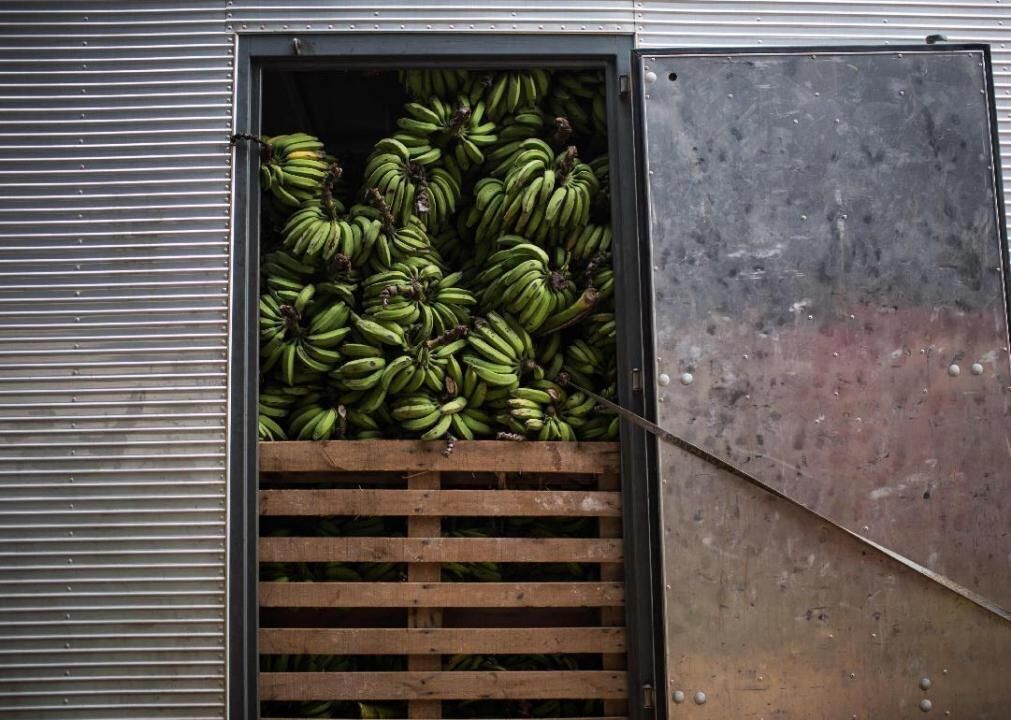 Bananas
